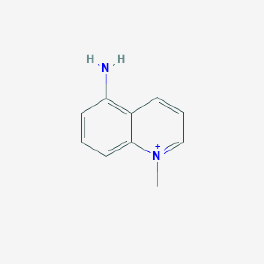 5aminoMQ1_Molecule